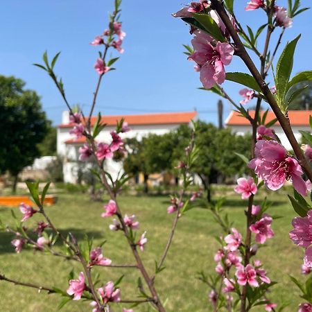 Hotel Casa Do Prado Tomar Zewnętrze zdjęcie