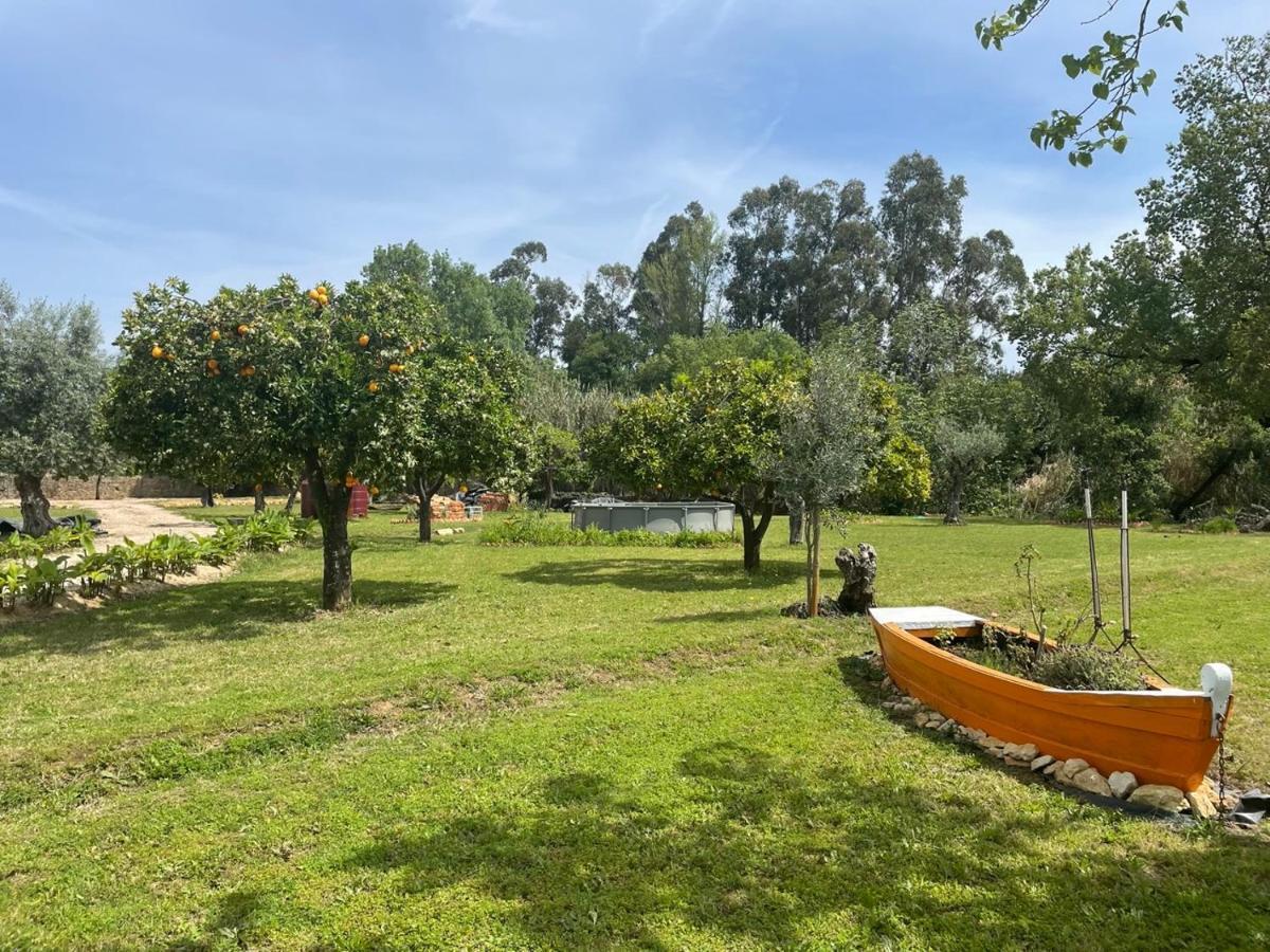 Hotel Casa Do Prado Tomar Zewnętrze zdjęcie