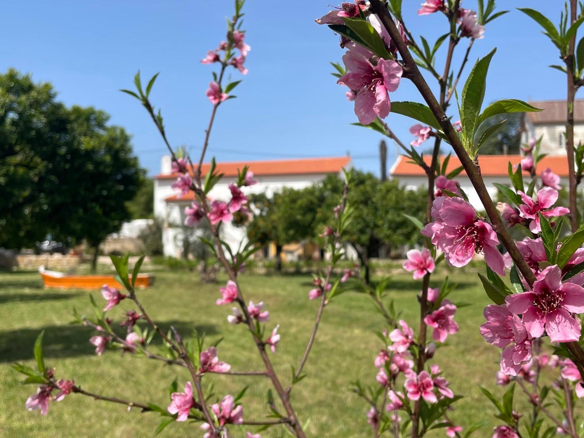 Hotel Casa Do Prado Tomar Zewnętrze zdjęcie